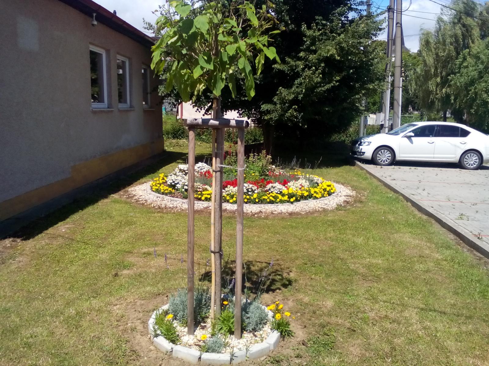 Fotogaléria Rozkvitnutá Terňa 2017 (10) Rozkvitnutá Terňa 2017